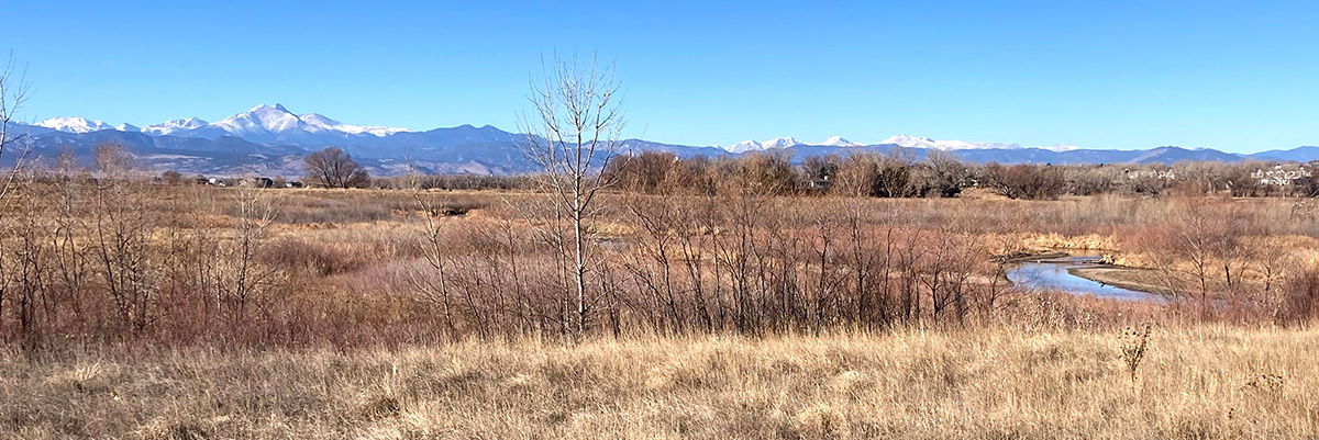 A view of Longmont's Peschel Open Space shows tan and brown prairie grasses, with a creek running through it and Colorado's front range in the distance.