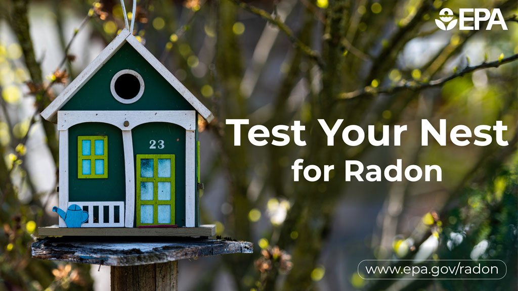 A small bird house perched on a tree stump with the text, "Test your nest for radon."