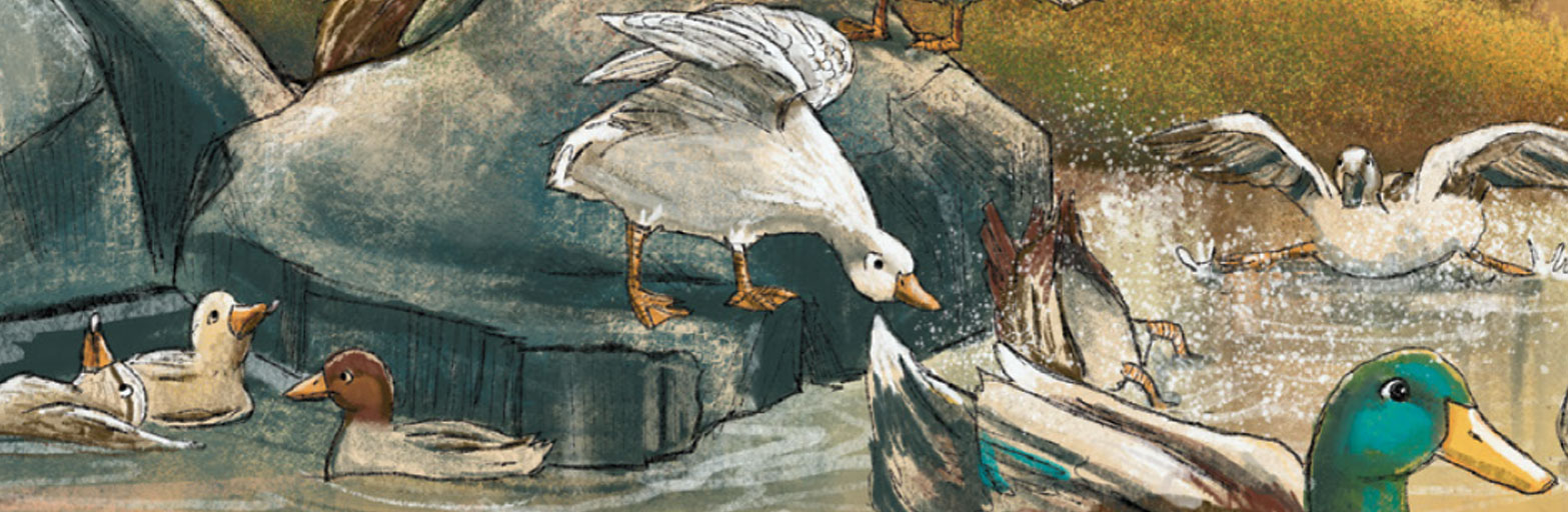 illustration of ducks in a pond