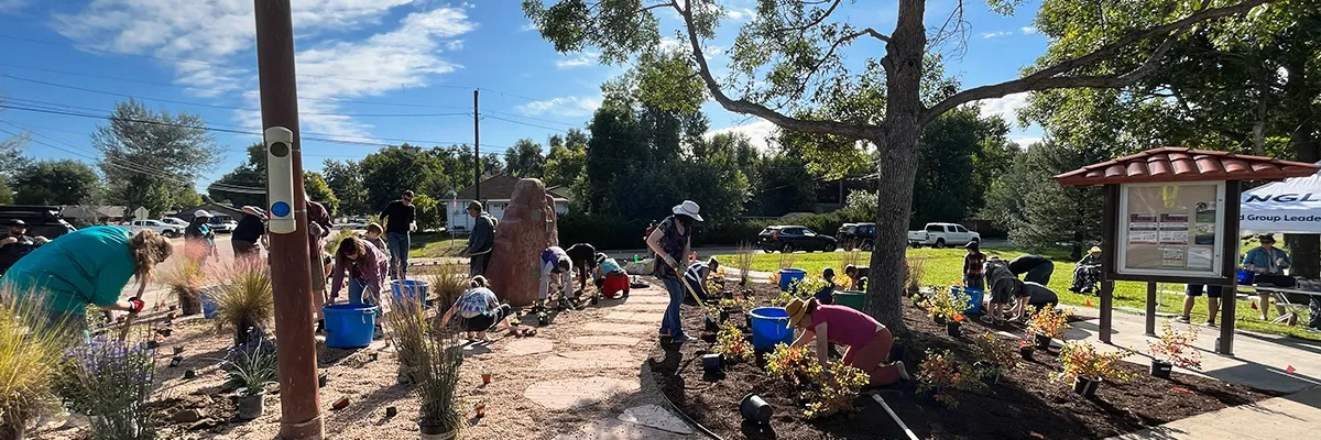 Volunteers help with landscaping work at Longmont's Kensington Park.