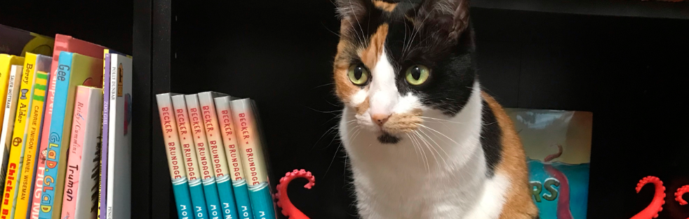 a cat next to a bookshelf with childrens books on it