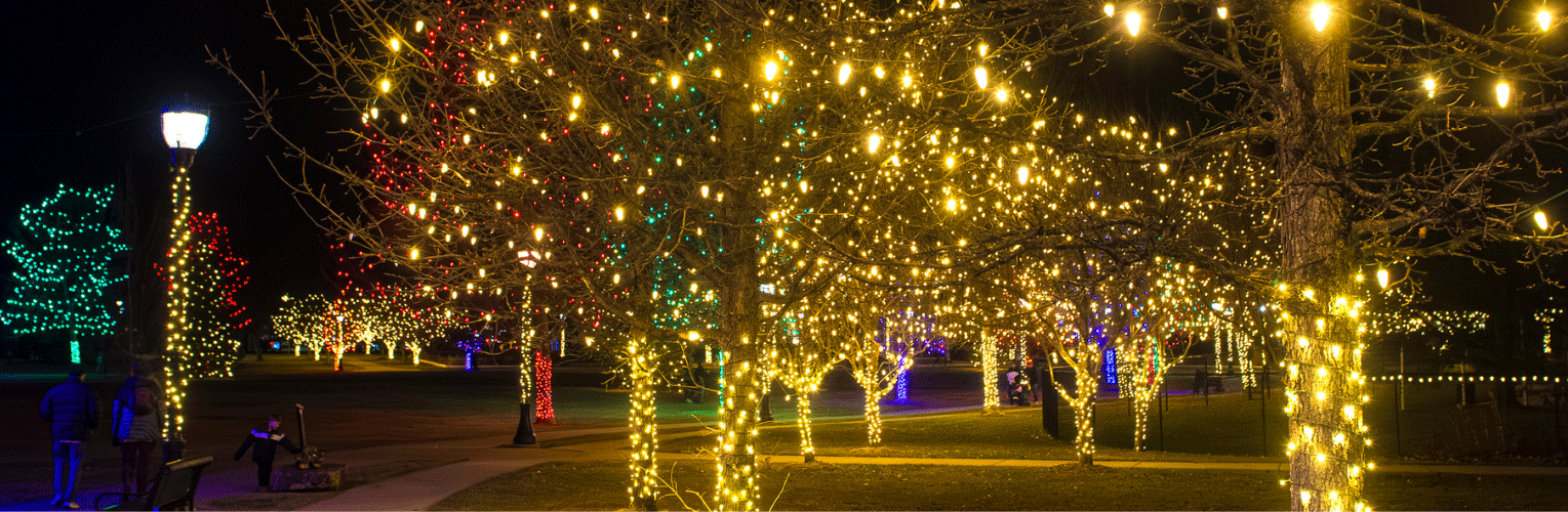 park filled with decorated colorful lights for the holidays