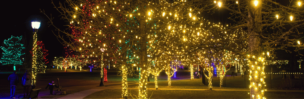 Longmont Lights Holiday Festival