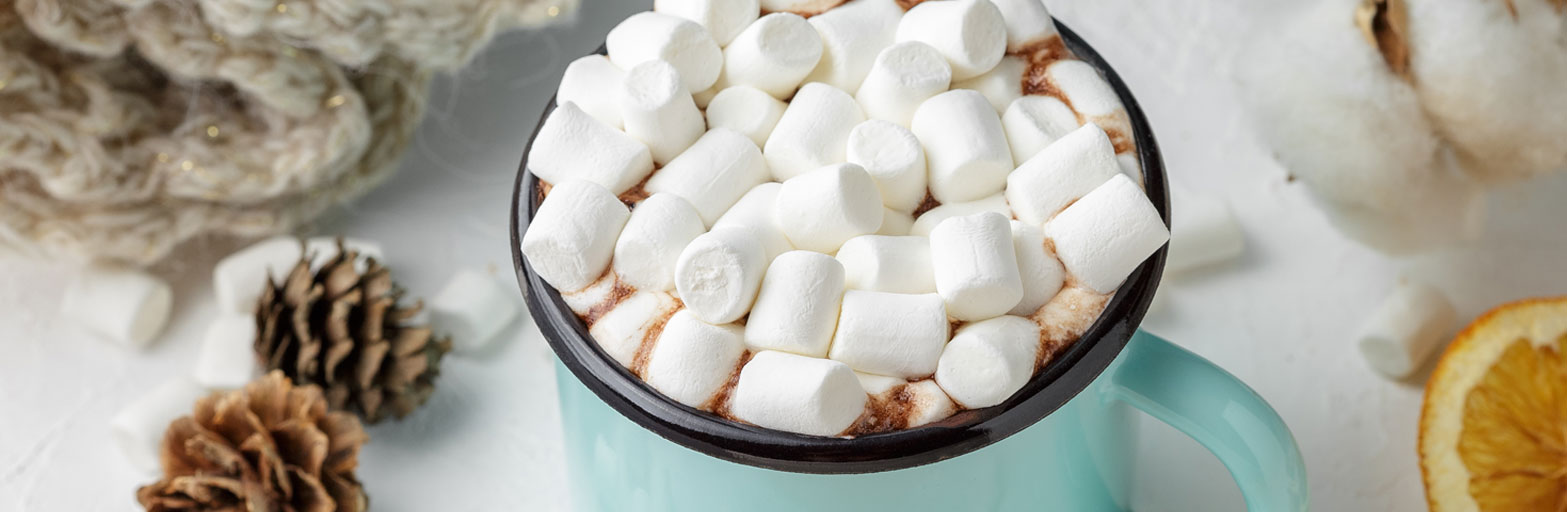 Mug with marshmallows and cocoa next to orange slices and two pinecones.