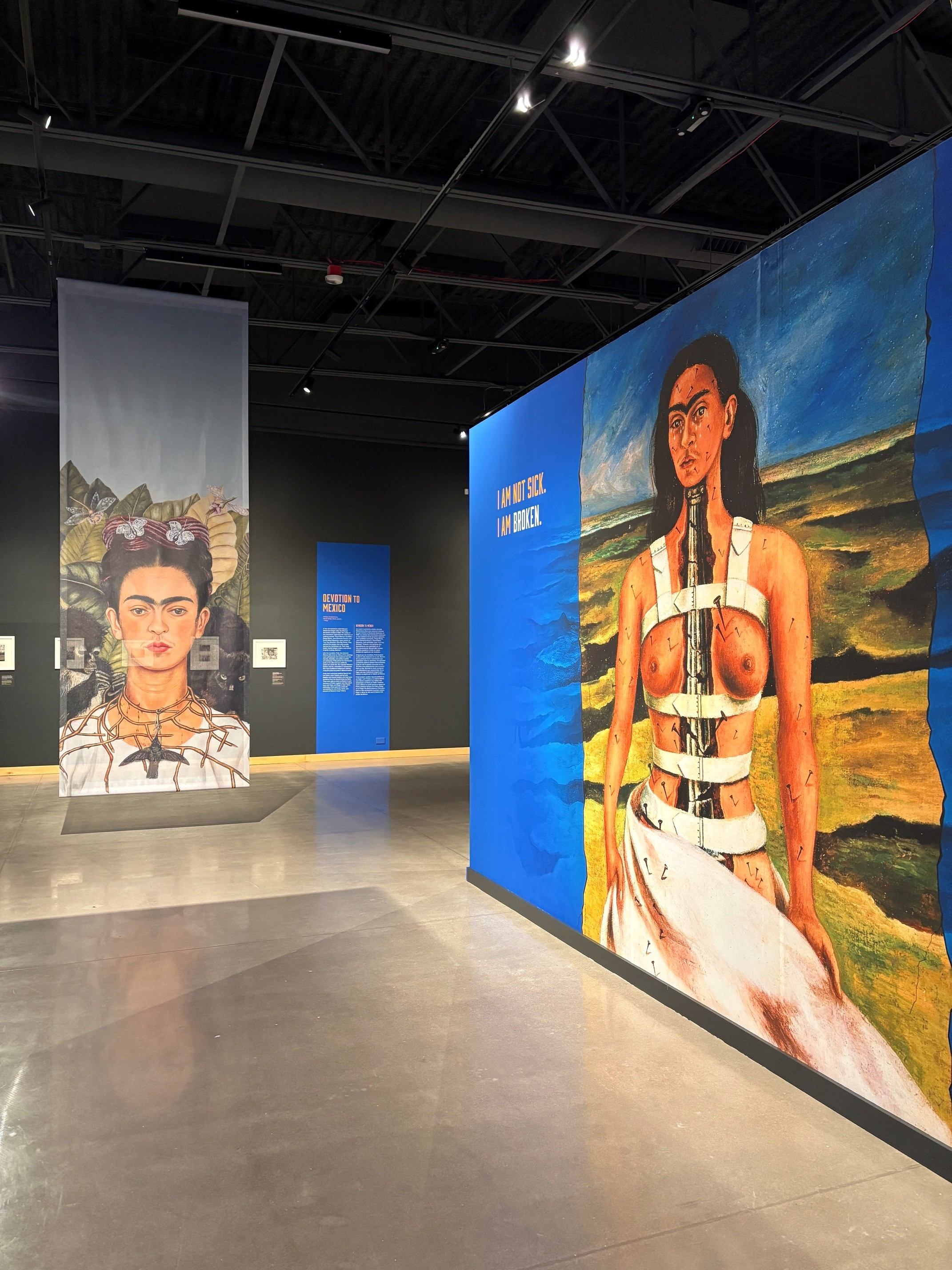 A gallery in a Museum with art by Frida Kahlo