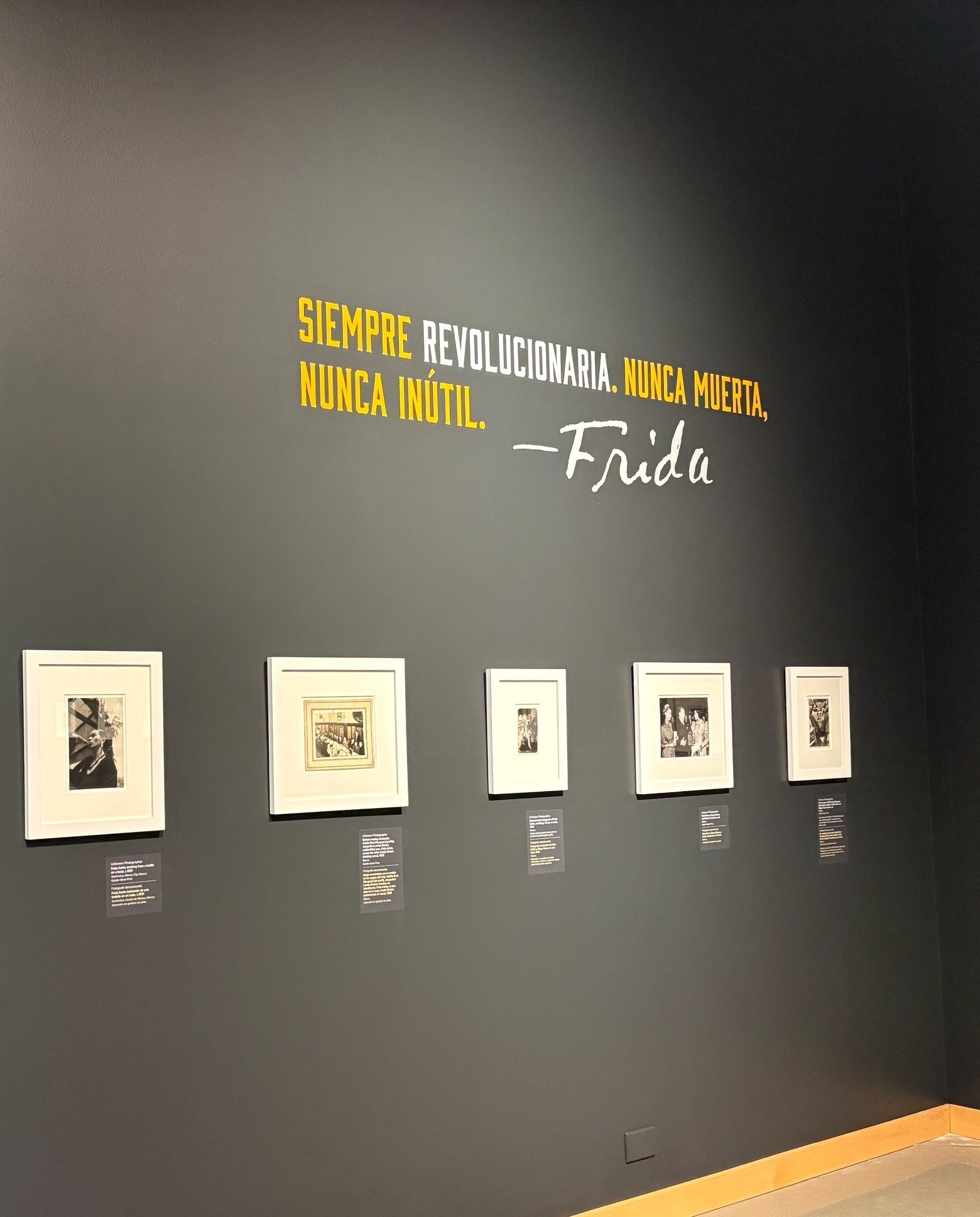 A gallery with framed photos of Frida Kahlo
