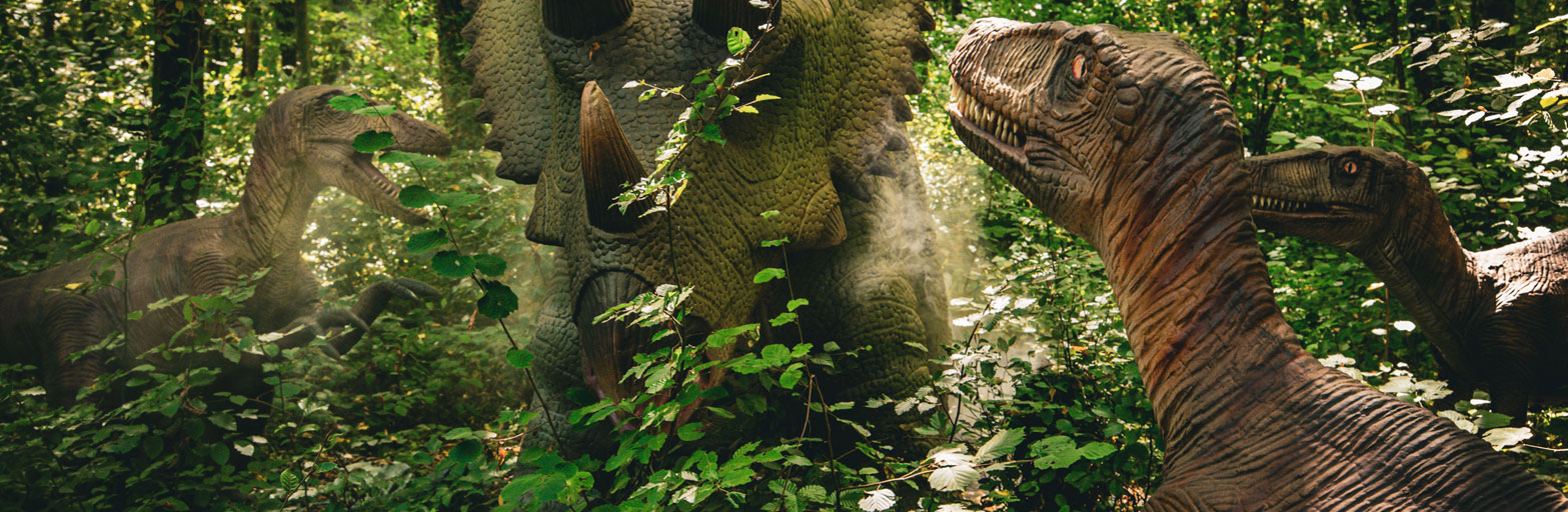 image of a rain forest with three dinosaurs standing face to face under a canopy of trees
